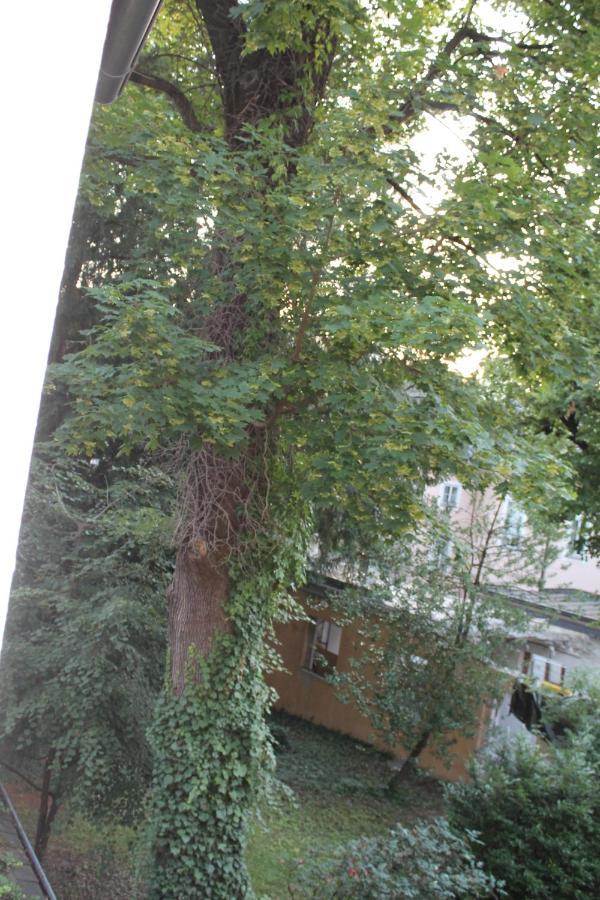 Mozart'S Garden Villa Salisburgo Esterno foto